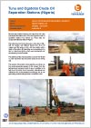 Precast Piles